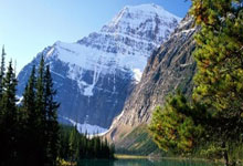 英雄联盟官网能为玩家做什么？新手必知的实用功能全解析