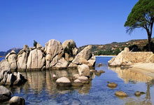 美职足排行榜是如何反映联赛竞争格局的？